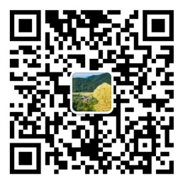 彩神x首页登录